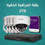 Smart Surveillance Bundle 2TB