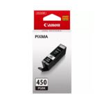 Canon PGI-450 PGBK Pigment Black (6499B001) Ink Cartridge...