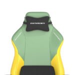 DXRacer Drifting Series XL Gaming Chair - Spring - Image 3