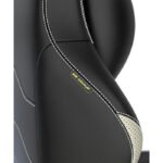 DXRacer Master XL Gaming chair, Faux leather, 4D Ergonomic Lumbar Support, Heavy-Duty Multi-Functional Tilt Mechanism - Black & White - Image 2