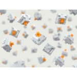 Glorious Panda Switch (Non Lubed Switches) - Image 2