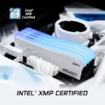 Kingston Fury Beast RGB 16GB (2x8GB) DDR4 3600MT/S Memory Kit - White - Image 3