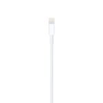 Apple Lightning To USB Cable (1M)