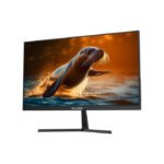 Sades AU-Sealion 24" FHD IPS Panel 240Hz 0.5ms Gaming Monitor With HDMI 2.1 FreeSync, Dynamic RGB Accent Lighting, Black | SA-F03F24 - Image 3